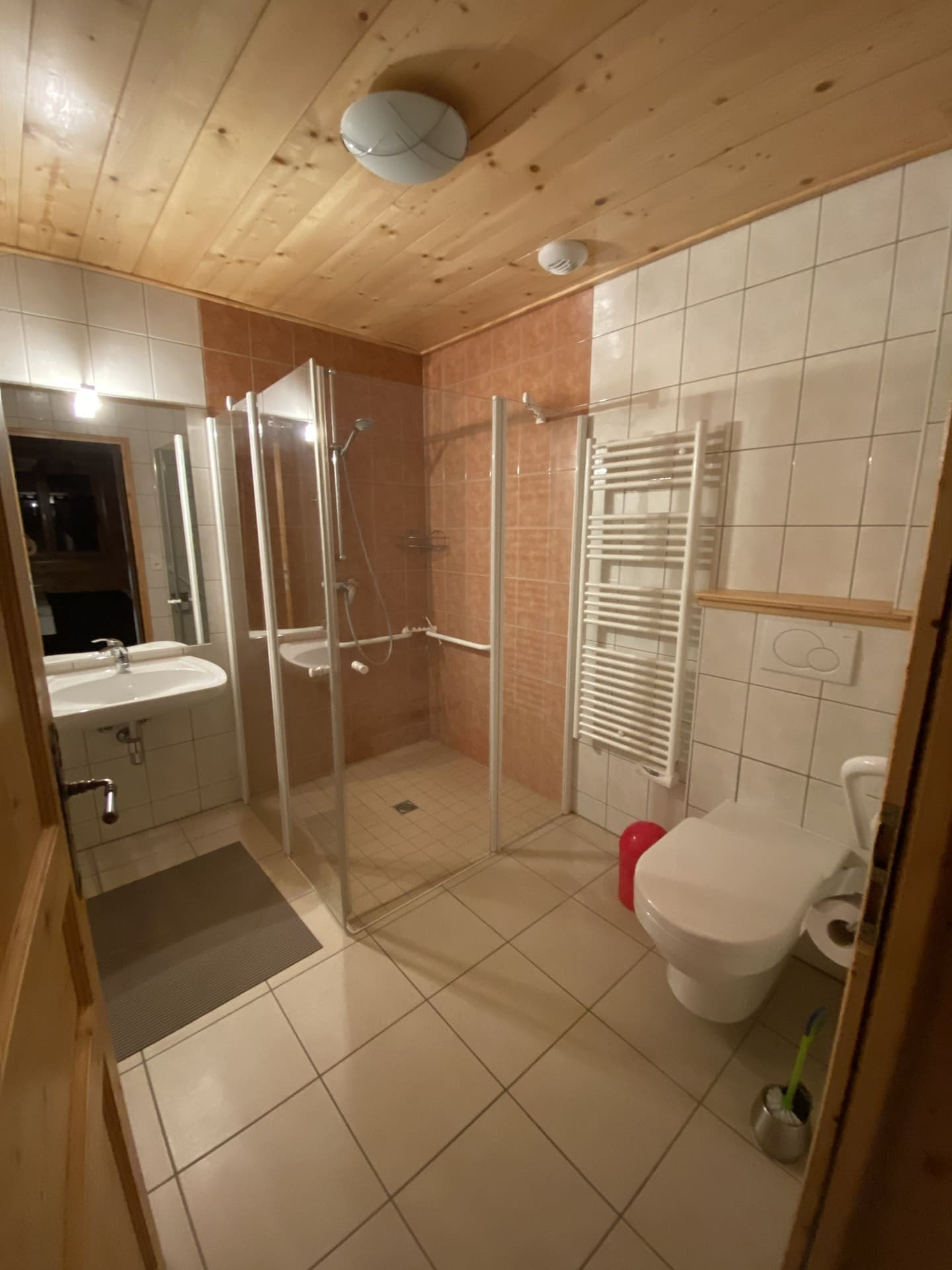 Chalet Le Cerf, Châtel, Salle de douche et WC, Cours de ski 74