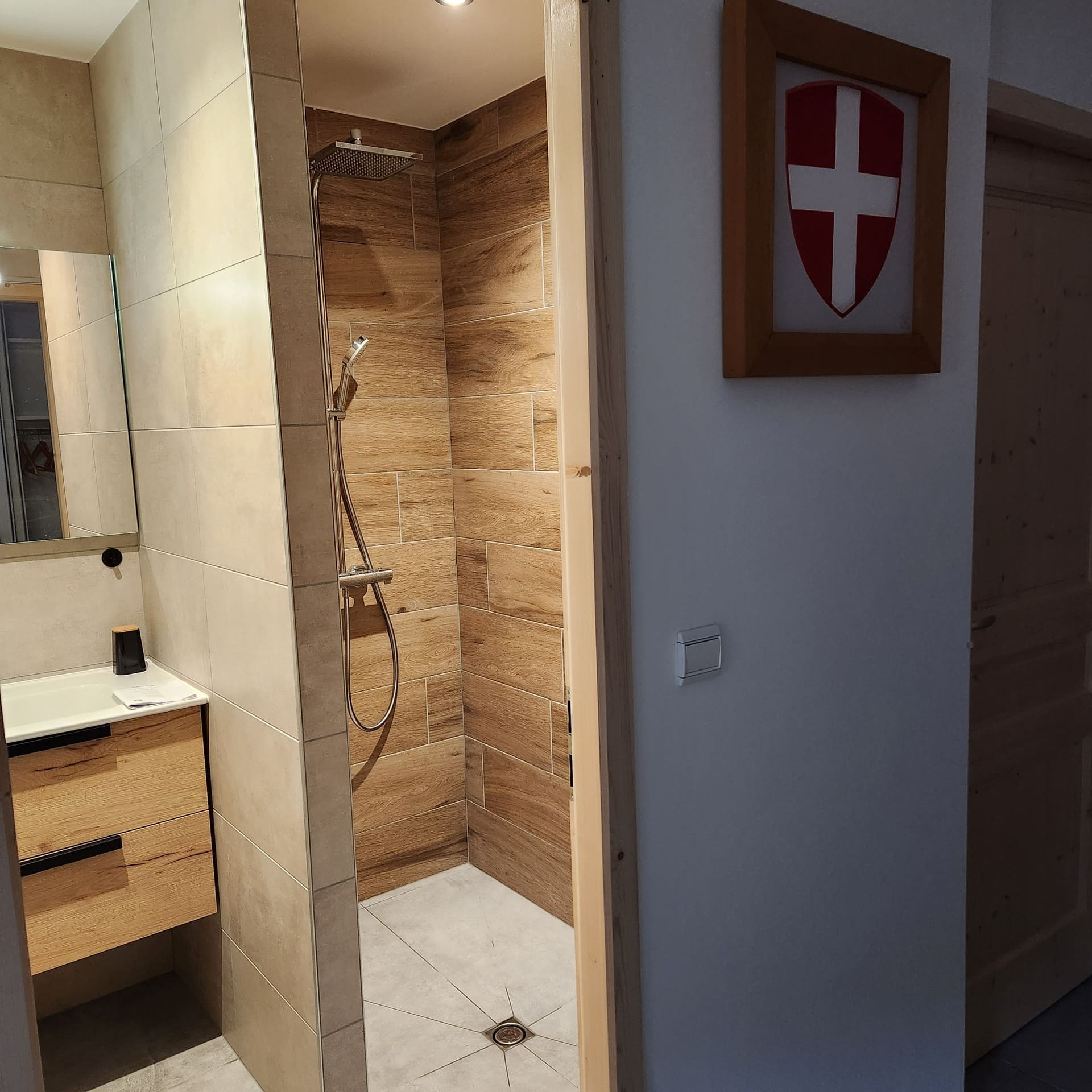 Chalet Le Choucas, Chatel, Shower room, Ski passes 74