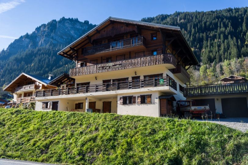 Chalet Le Petit Cornillon Outdoor Châtel