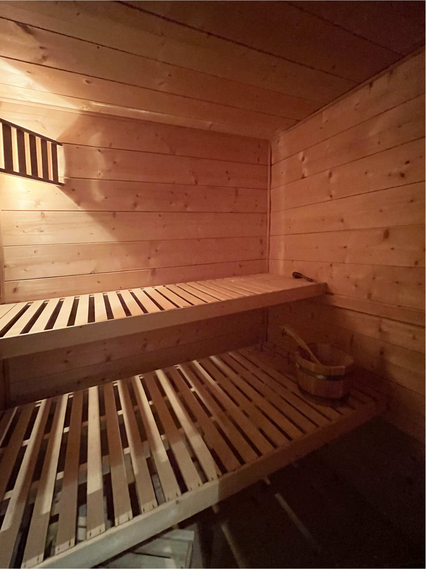 Chalet les Carlines, Bottom, Sauna, Chatel, Rental equipement