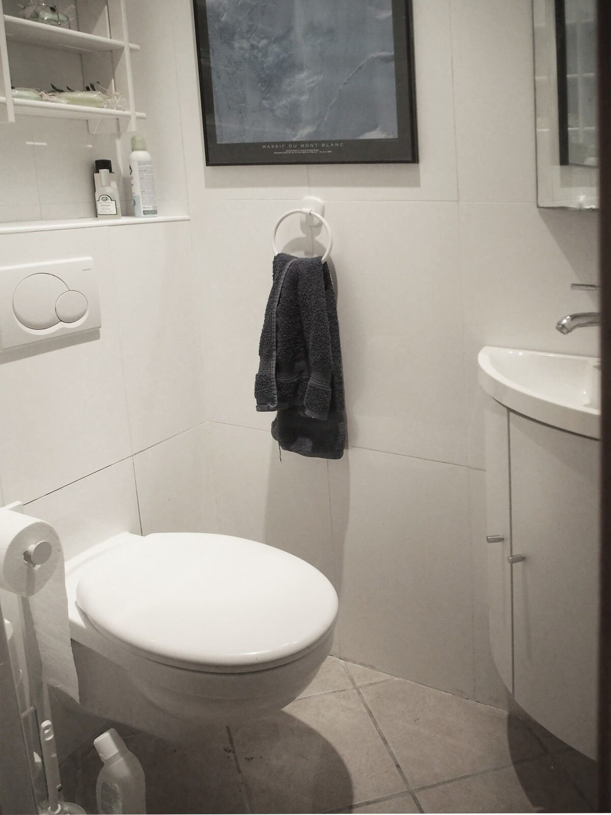 Chalet les Carlines, Bottom, WC, Chatel, Accomodation rental