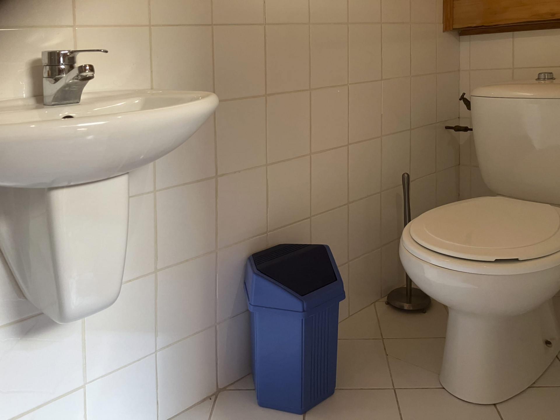 Chalet les Carlines, Top, WC, Chatel, Ski rental Chalet les Carlines, Top, WC, Chatel, Ski rental