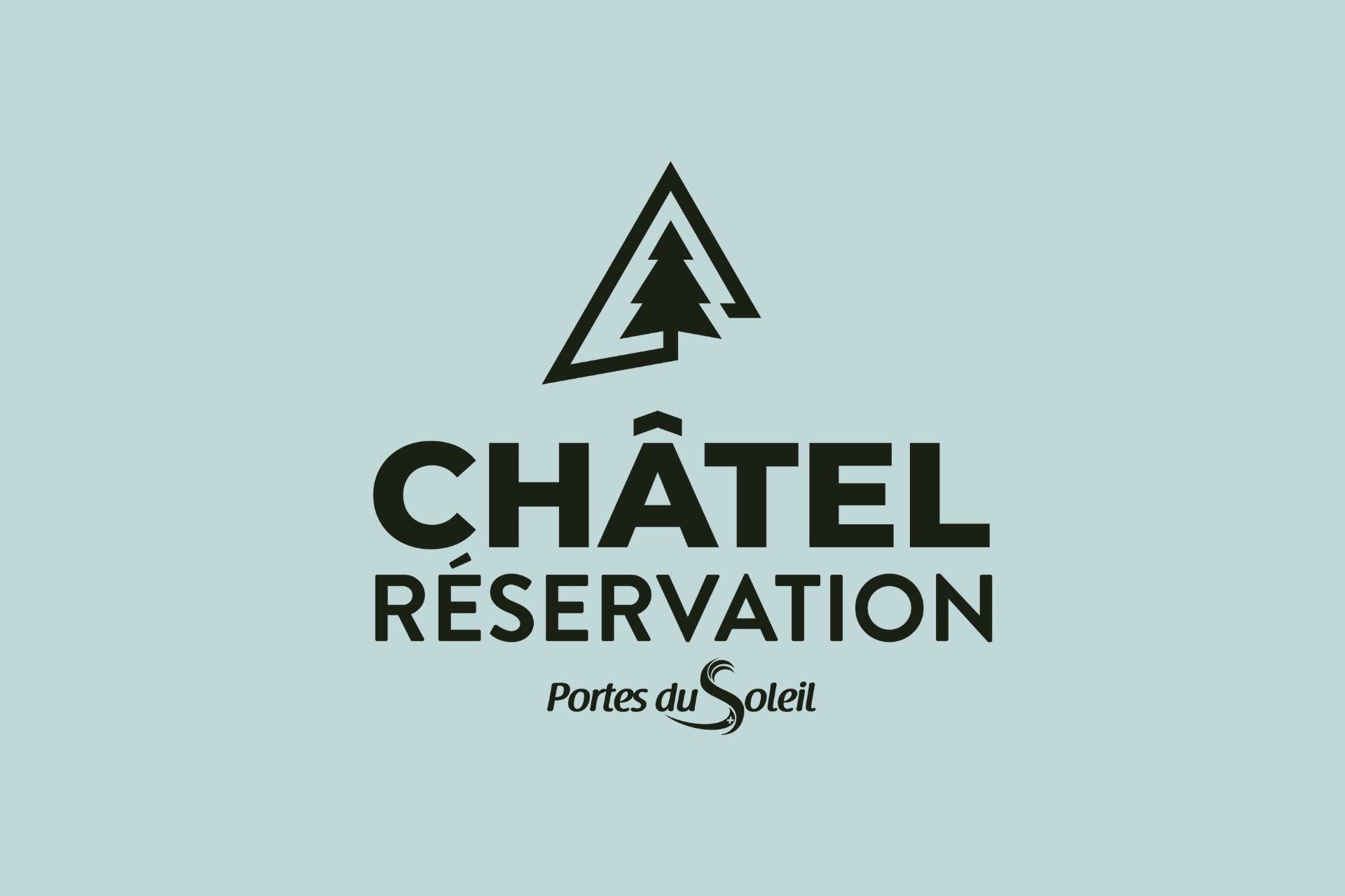 chatel-reservation-hebergeur-officiel-de-la-station-en-hiver-3048-8166644