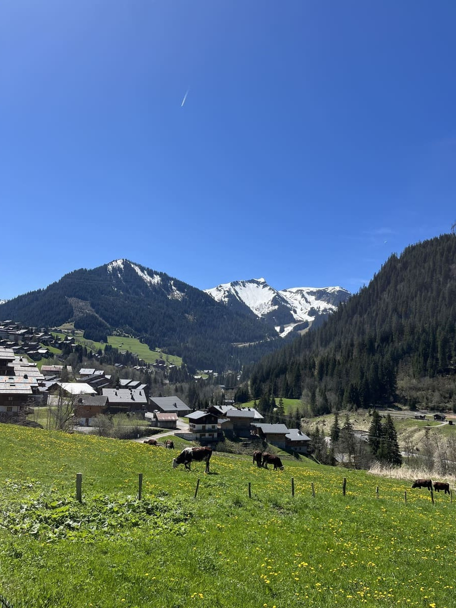 Alpaga C half-chalet, view over the Châtel village