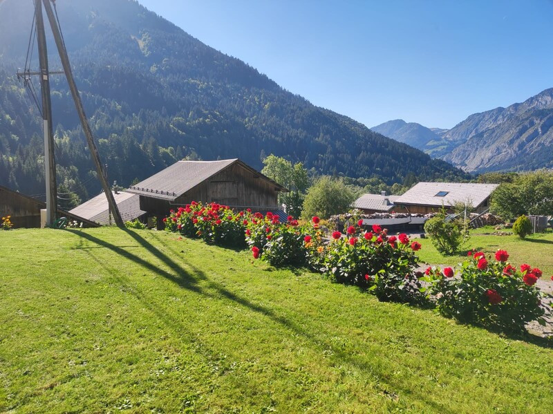 Etoile du Nant, Terrasse avec vue, Portes du Soleil Village de montagne