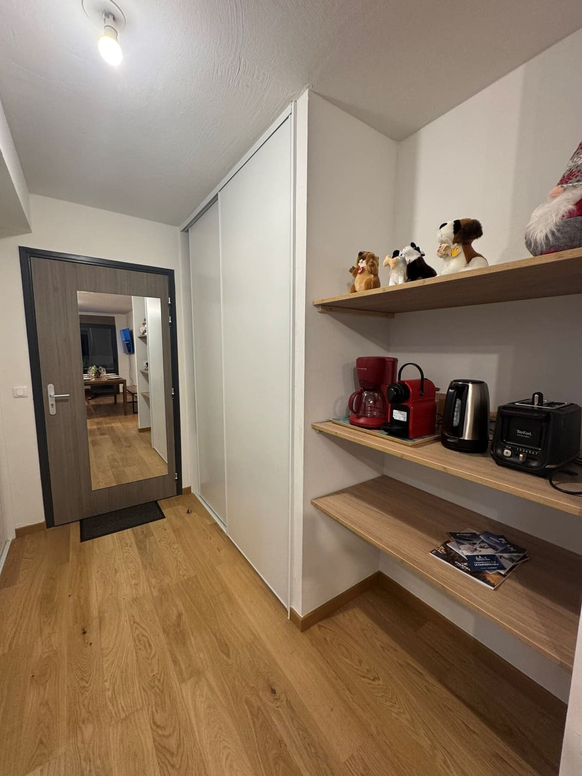 Les Soldanelles, appartment 4B, Chatel, enter, snowflakes