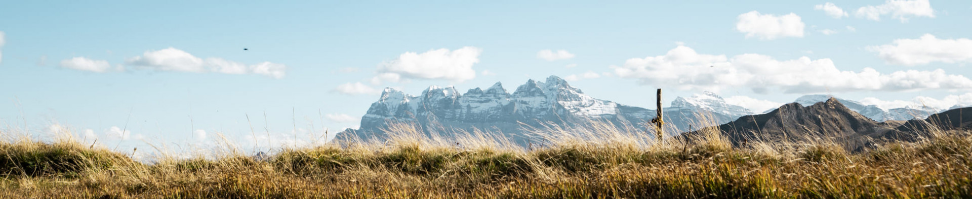 Skiing, hiking and even more awaits you in Châtel