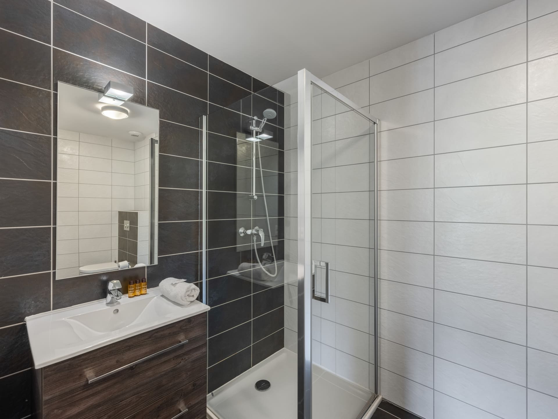 Résidence les 4 Elements, apartment 001 B, Shower room with WC, Châtel Reservation