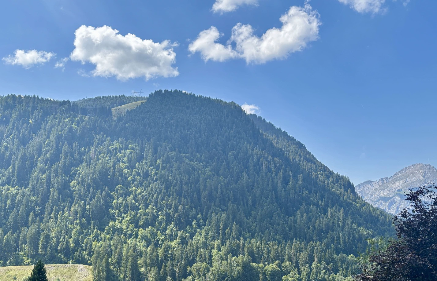 Les Soldanelles Residence, Building A, Apartment 02, mountain view, Châtel ski snow sun vacation