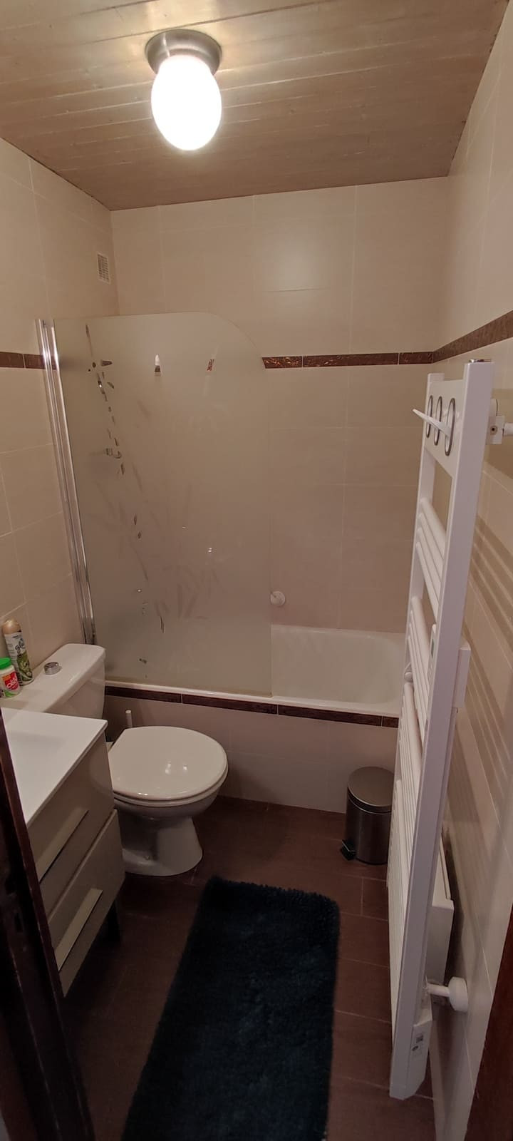 Résidence Moulin, Appartement 180 A, Salle de bains / WC, Châtel Réservation