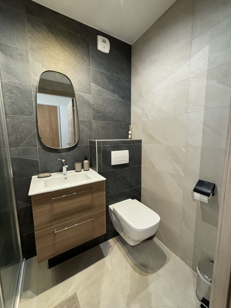 Residence Theleme, Apartment 501, Shower room / WC, Châtel Holidays
