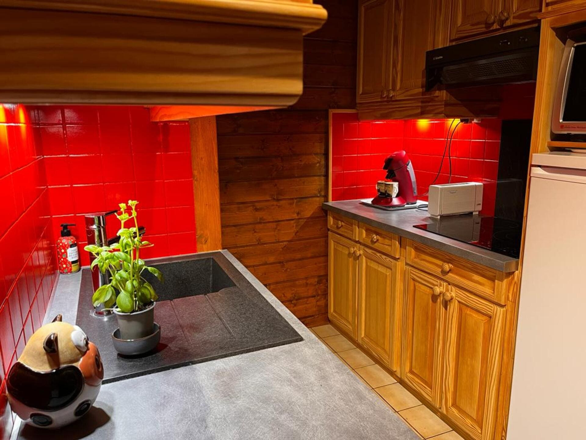Residence Yéti building 3, Kitchen, Châtel 74390