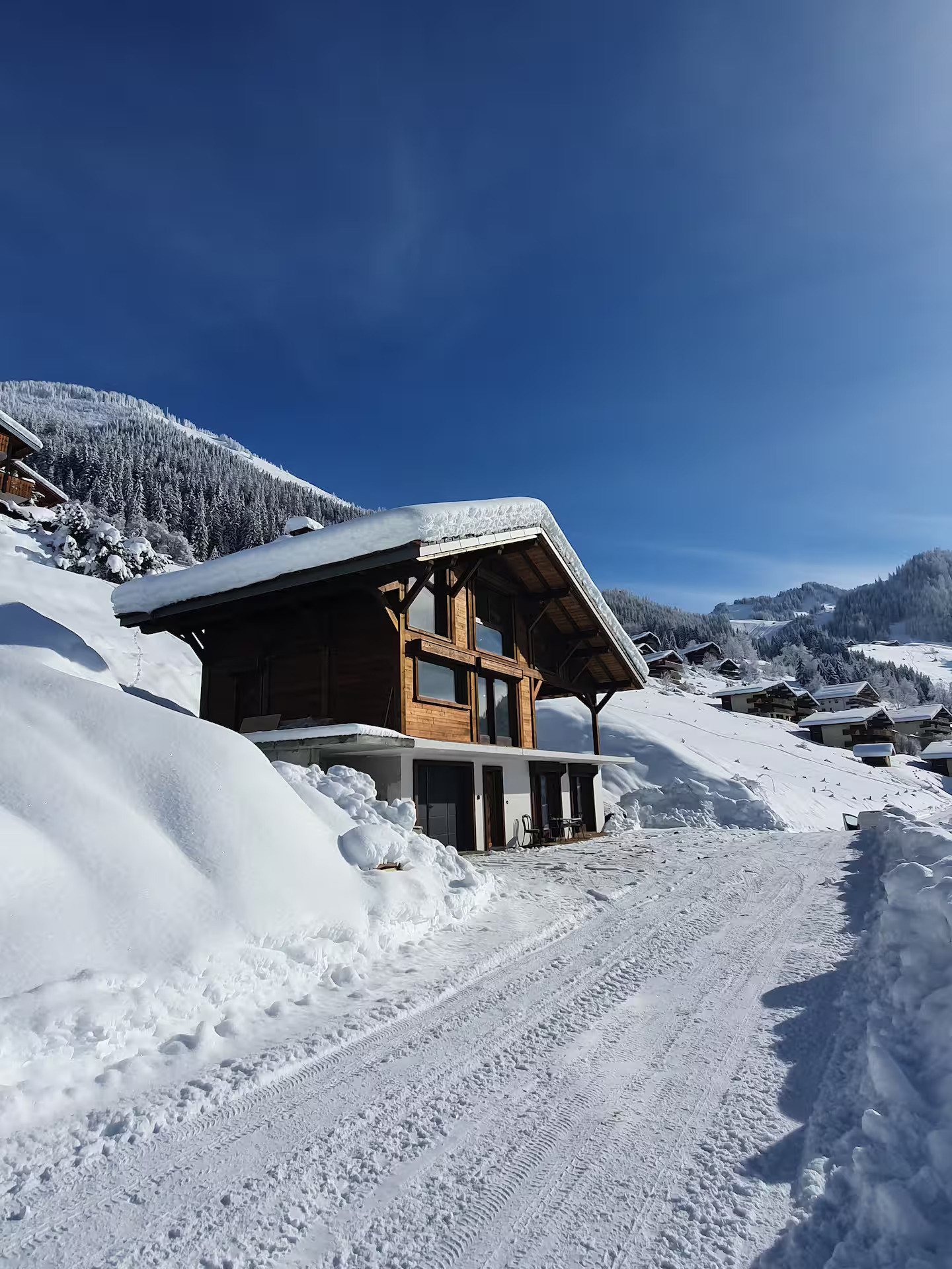 vue chalet, Châtel, soleil neige ski vacances vue chalet, Châtel, soleil neige ski vacances
