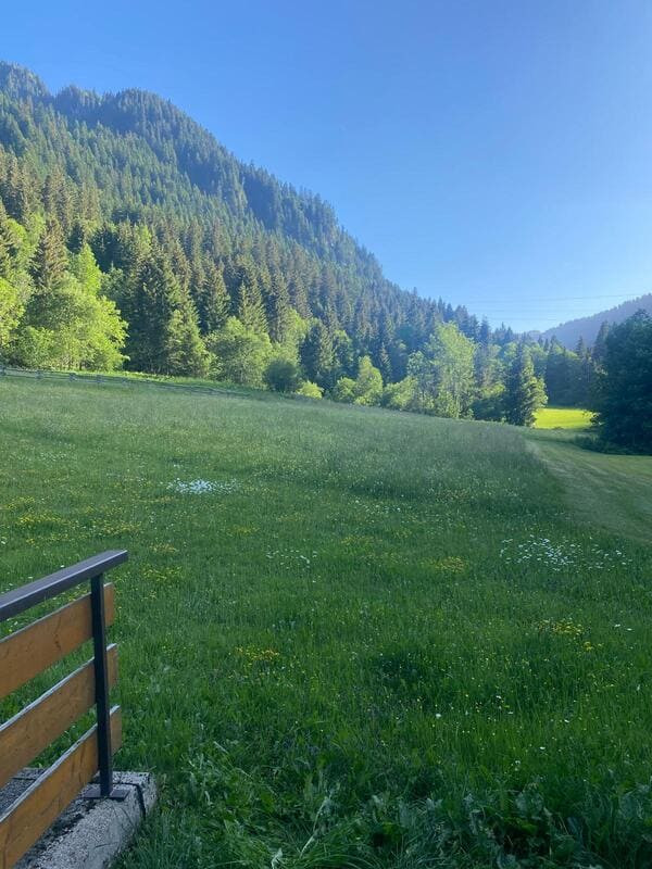 View of Myrtilles MR7 - Châtel, Nature