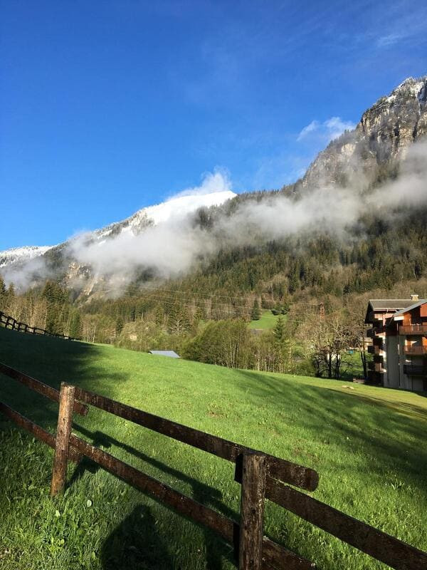View of Myrtilles MR7 - Châtel, Family Vacations