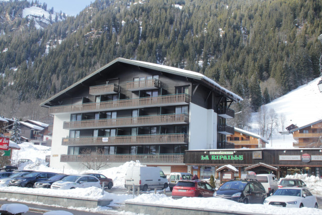 IMG_5810