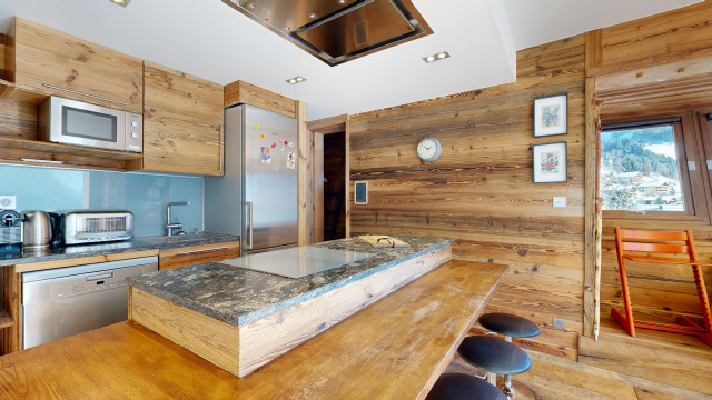 AlpVision-Chatel-Appartement-27-Chatel-12132024_153720