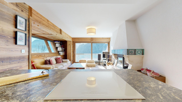 AlpVision-Chatel-Appartement-27-Chatel-12132024_153815