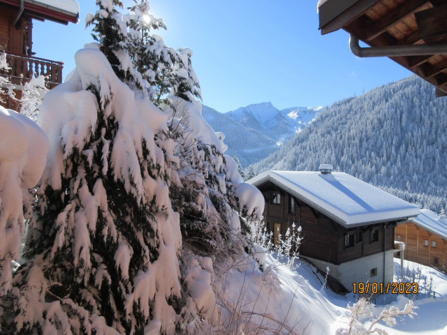 vuehiver