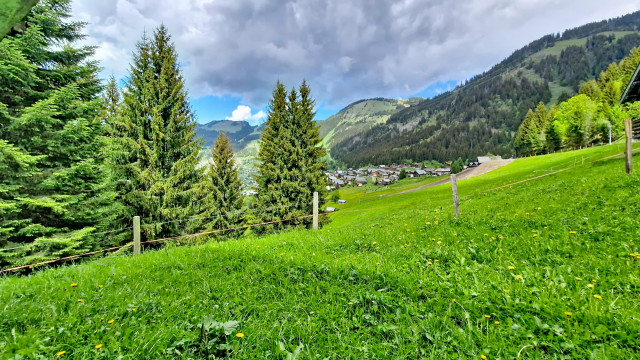 mrp_000031
