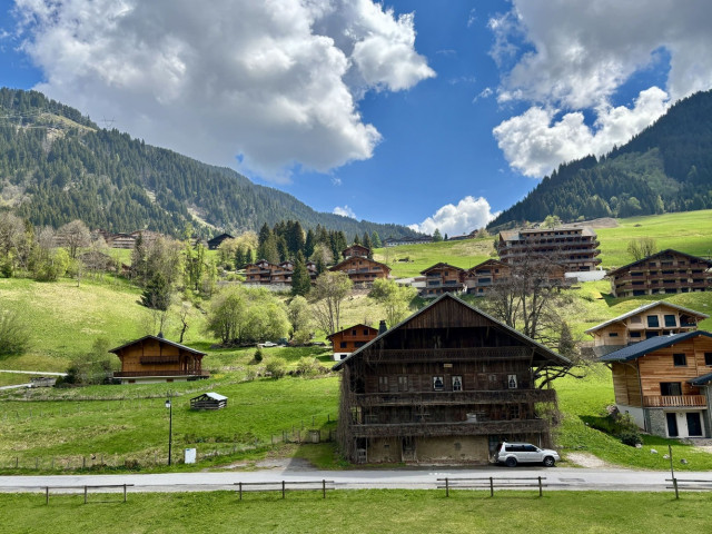 Résidence Perce Neige, Bâtiment A, Appartement 30, Châtel, Vue, Snowboard