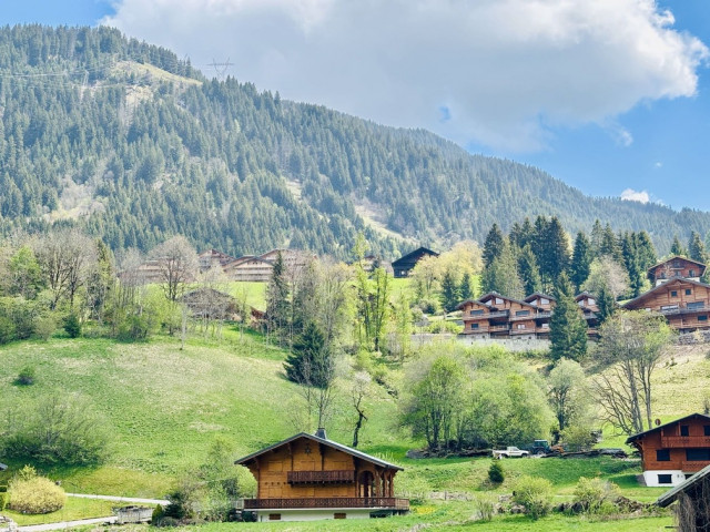 Résidence Perce Neige, Bâtiment A, Appartement 30, Châtel, Vue, Soleil et Neige