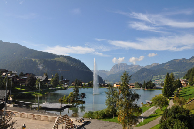 _lv_images__lot_0000000082_12_8386410