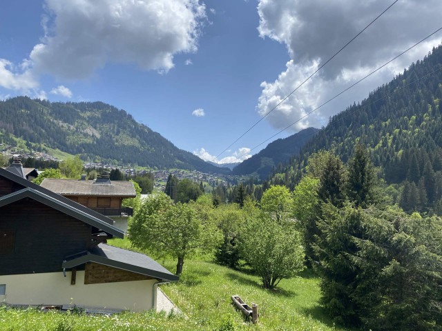 _lv_images__lot_0000000095_05_8445566