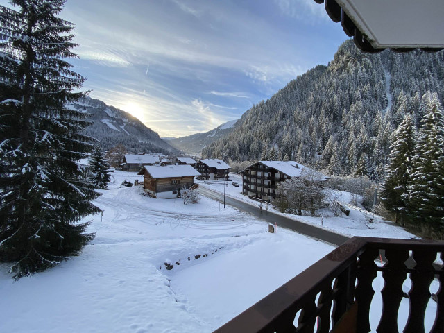 _lv_images__lot_0000000100_10_8303148