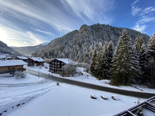 _lv_images__lot_0000000100_11_8226376