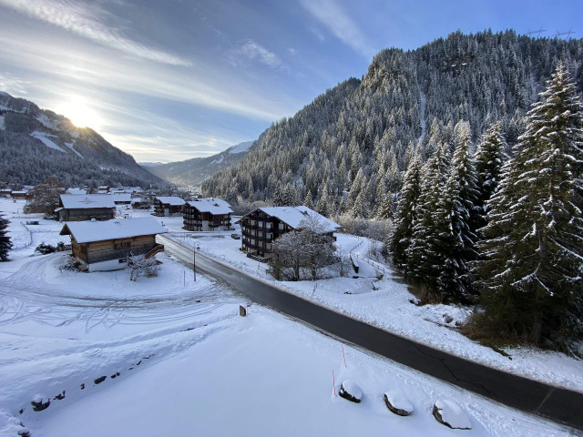 _lv_images__lot_0000000101_05_8346027