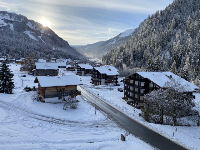 _lv_images__lot_0000000101_09_8583063