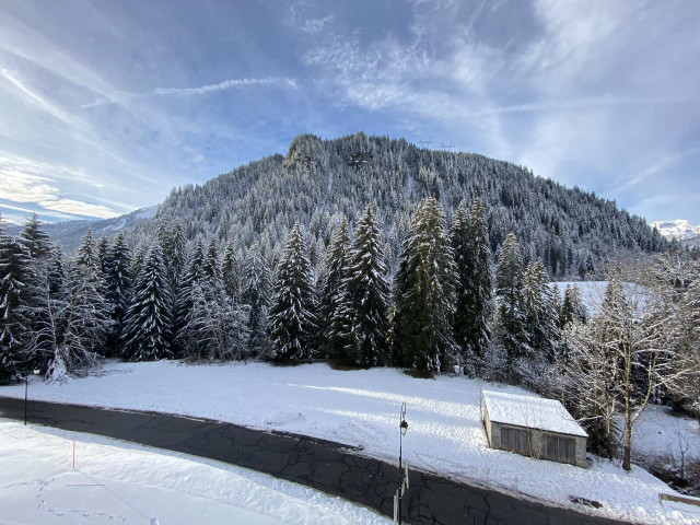 _lv_images__lot_0000000104_13_8503781