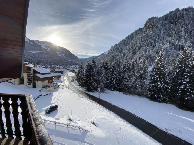 _lv_images__lot_0000000106_04_8503786