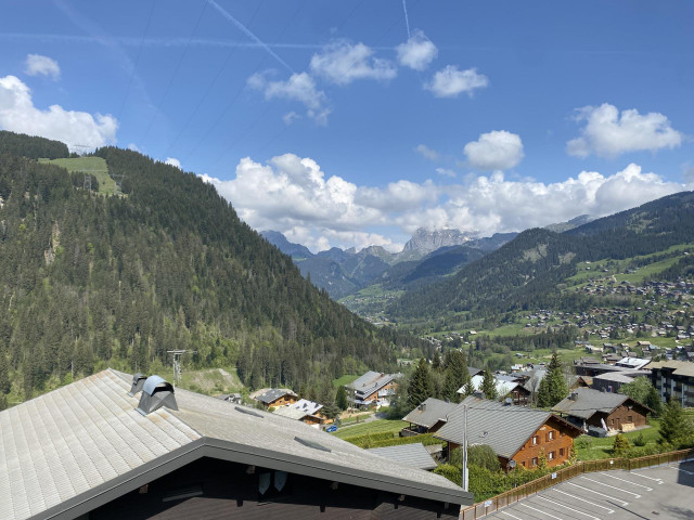 _lv_images__lot_0000000111_04_8273297