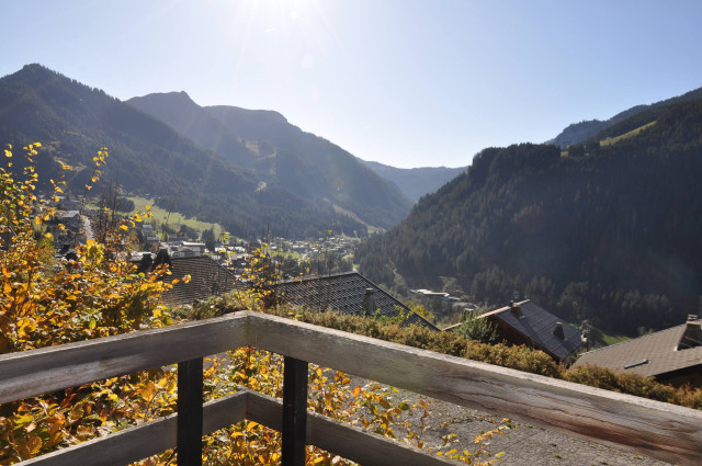 _lv_images__lot_0000000113_09_8502322