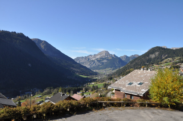 _lv_images__lot_0000000113_10_8587604