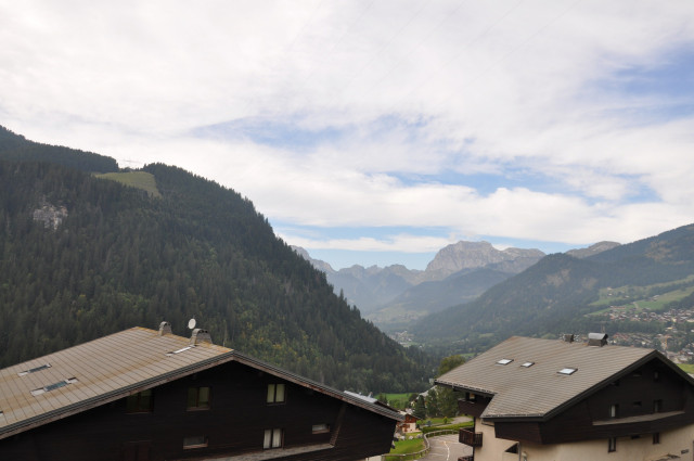 _lv_images__lot_0000000114_10_8465498