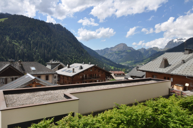 _lv_images__lot_0000000115_14_8343299