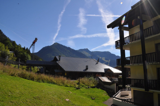 _lv_images__lot_0000000138_03_8303217