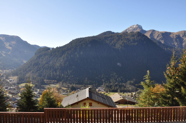 _lv_images__lot_0000000154_04_8416694