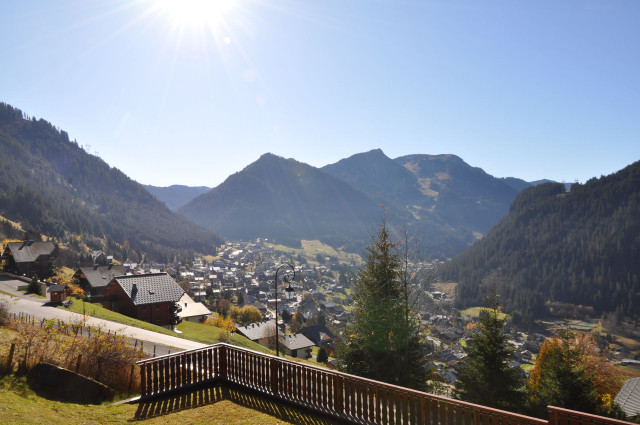 _lv_images__lot_0000000154_11_8222799