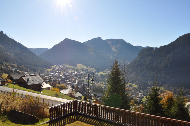 _lv_images__lot_0000000155_03_8591748