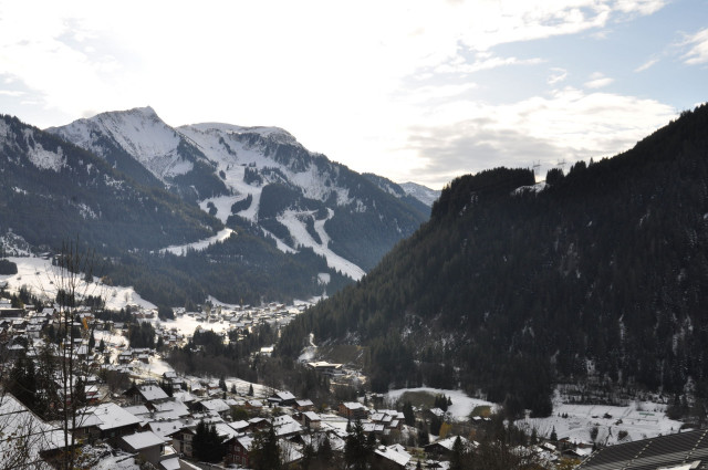 _lv_images__lot_0000000159_04_8508551