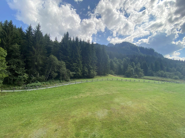 _lv_images__lot_0000000170_10_8214106