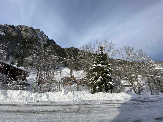 _lv_images__lot_0000000211_10_8557304