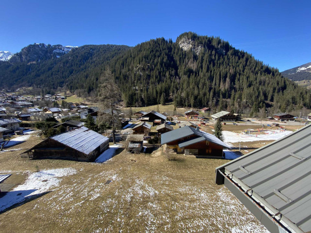 _lv_images__lot_0000000218_11_8260193