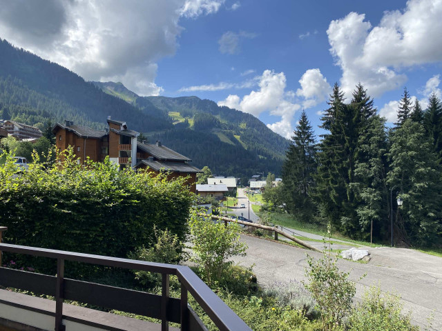 _lv_images__lot_0000000226_05_8256447