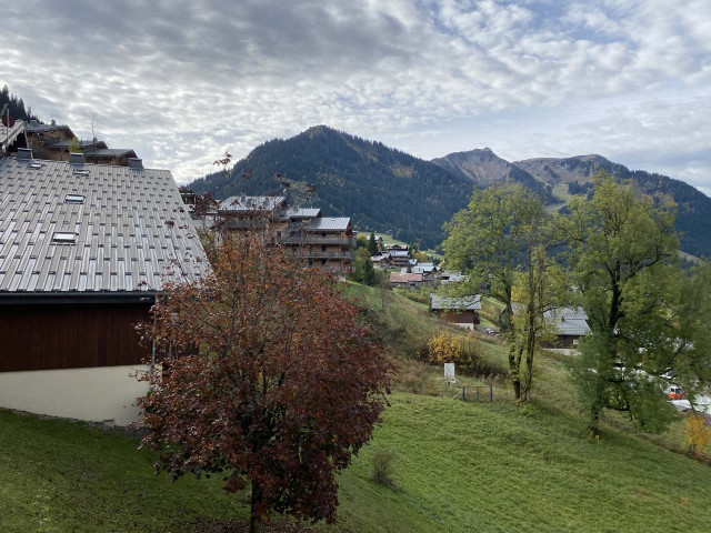 _lv_images__lot_0000000227_13_8425003