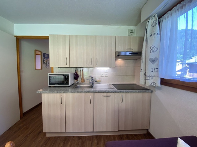Appartement 1 dans résidence Les Iris à Châtel, location meublée